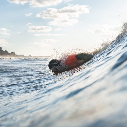 Mysurfshots - High Five Bodysurf Classic49